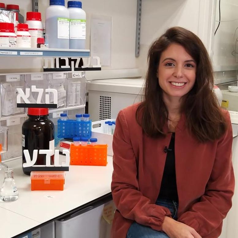 תמונה של הכתבה